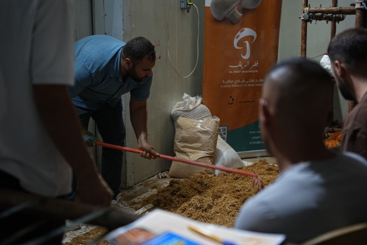 Mushroom Cultivation Training