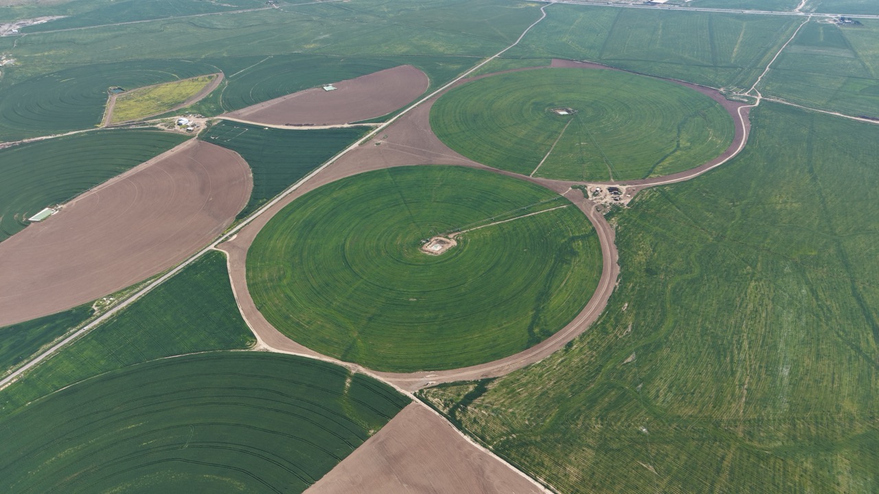 Sadara Farm